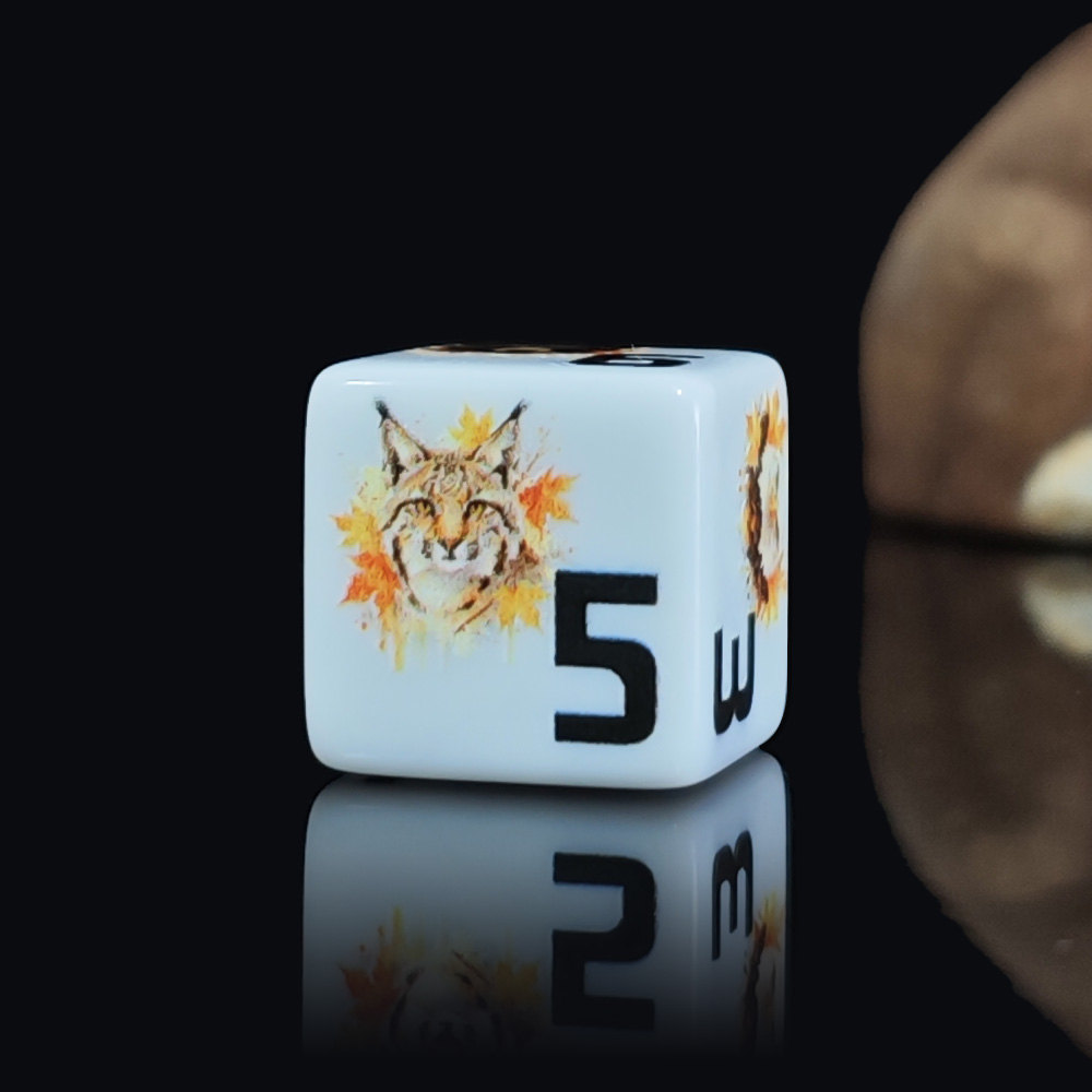 12 szt. Akrylowych Kostek D6 1 – Board Game Wild Wild recenzja i cena